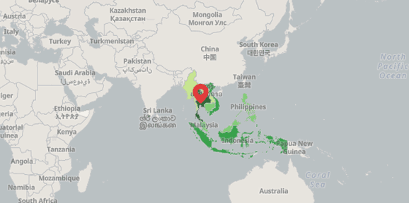 Mia Chen's travel map